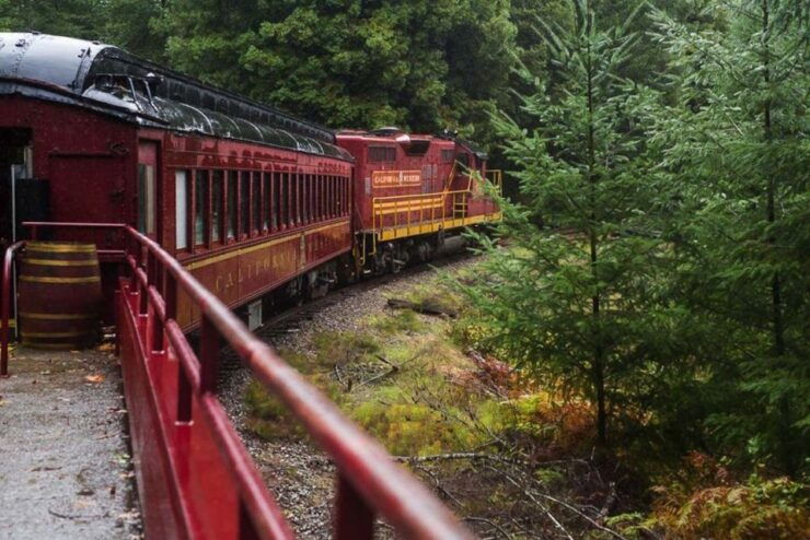 Mendocino County: Skunk Train Wolf Tree Turn Train Ride - Good To Know