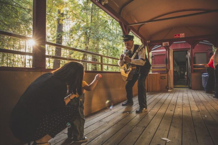 Mendocino County: Skunk Train Wolf Tree Turn Train Ride - Location and Provider
