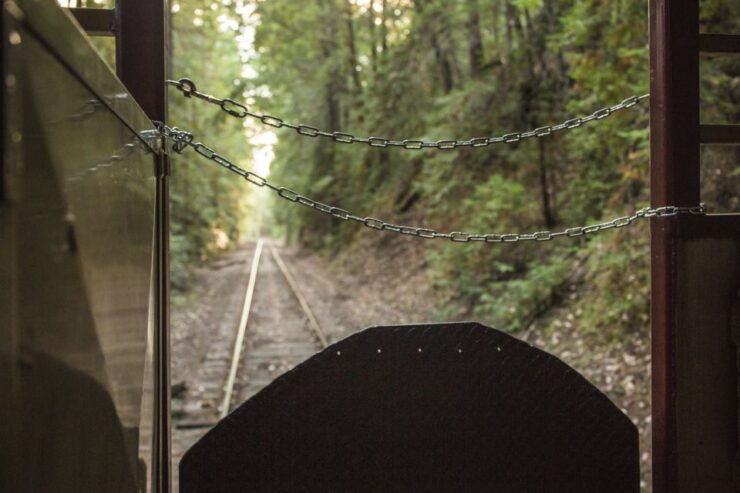 Mendocino County: Skunk Train Wolf Tree Turn Train Ride - Duration and Accessibility
