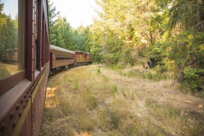 Mendocino County: Skunk Train Wolf Tree Turn Train Ride - Route and Important Information