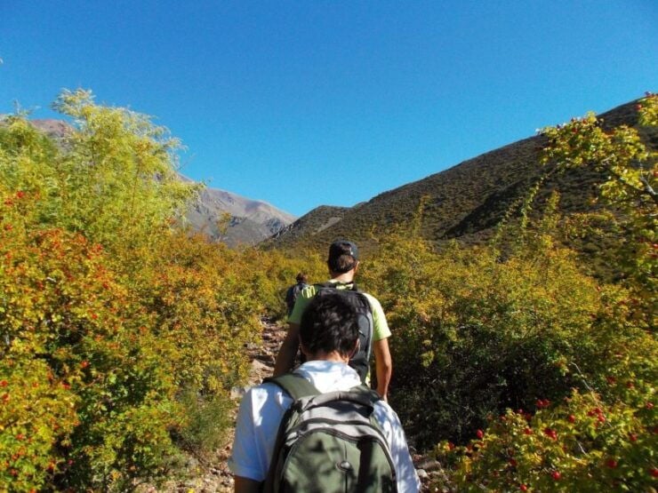 Mendoza: 4-Hour Mountain Trekking With Lunch - Good To Know
