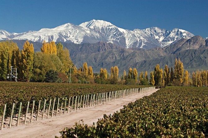 Mendoza: Aconcagua Tour in the Andes Mountains - Booking Information