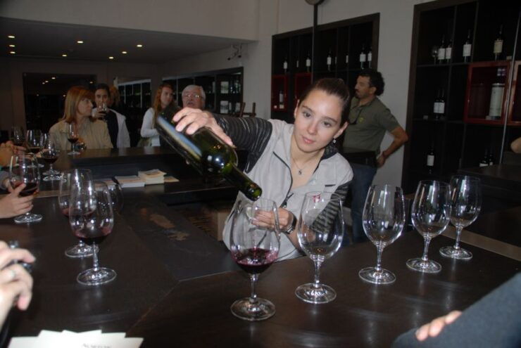 Mendoza: Full Day Wine Tour With 3 Course Lunch - Good To Know