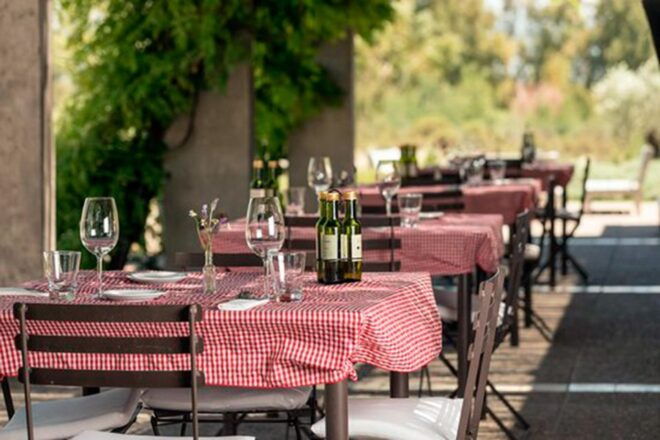 Mendoza: Half-Day Wine Tour With Tastings and Lunch - Tour Highlights