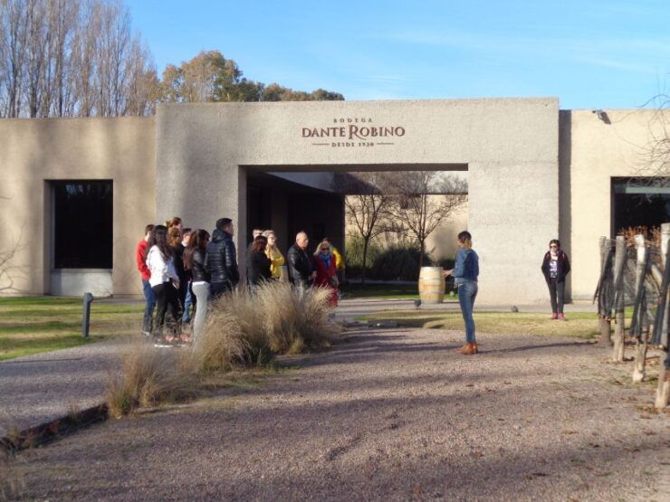 Mendoza: Half-Day Wine Tour With Tastings - Good To Know