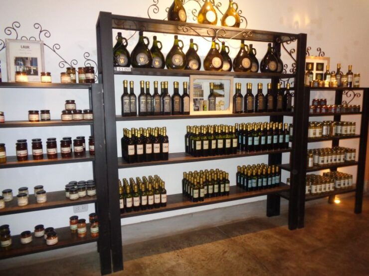 Mendoza: Half-Day Wine Tour With Tastings - Activity Details
