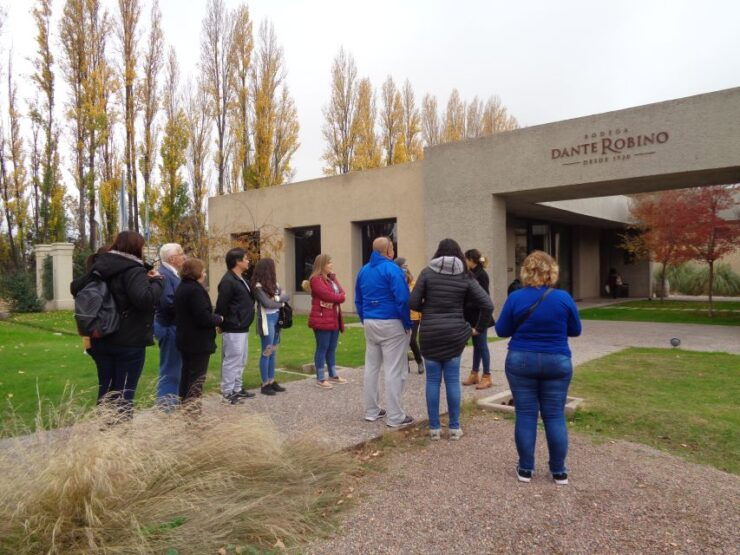 Mendoza: Half-Day Wine Tour With Tastings - Guest Experience