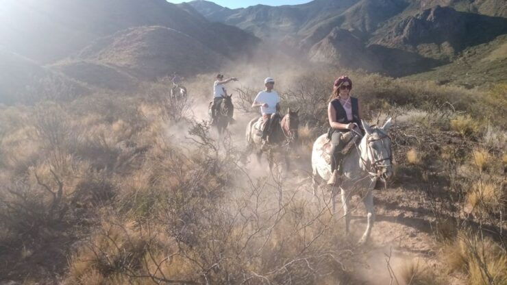 Mendoza: Horseback Riding in the Andes With Authentic BBQ - Activity Details