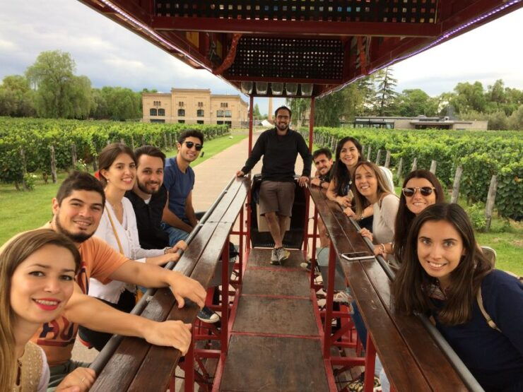 Mendoza: Winebike Tasting Tour With Optional Lunch - Tour Overview