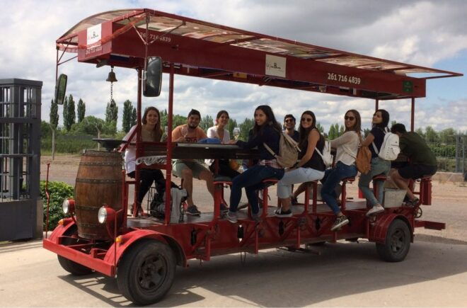 Mendoza: Winebike Tasting Tour With Optional Lunch - Pricing and Booking Details