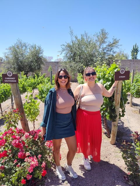 Mendoza's Top Wineries: Private Tour, Tastings, and Lunch - Experience Highlights