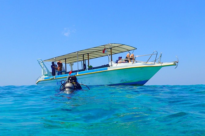 Menjangan Island for Certified Scuba Divers Full Day Boat Trip, 2 Dives Lunch - Confirmation and Booking Information