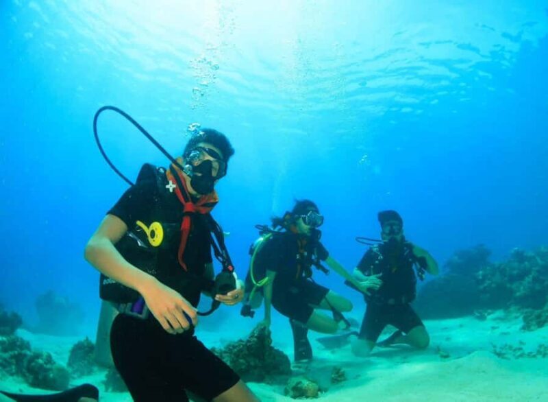 Menjangan Island: Fun Diving Experience - Good To Know