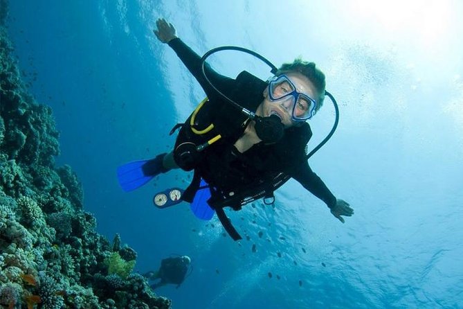 Menjangan Island Scuba Diving Day Trip With Snorkeling Option (Feb ) - Trip Details