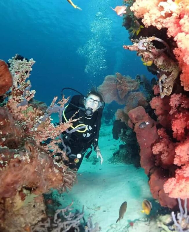 Menjangan Island: Scuba Diving Trip with Lunch - FAQ