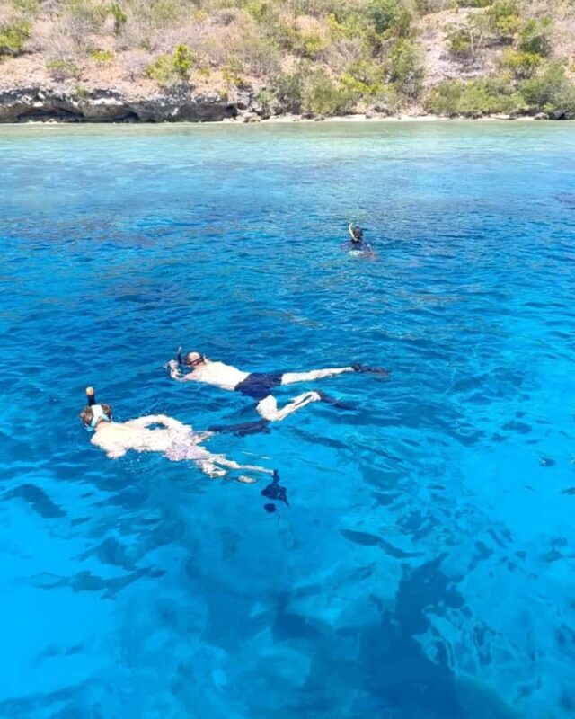 Menjangan Island: Snorkeling Tour with Lunch - Transportation, Group Size, and Practicalities