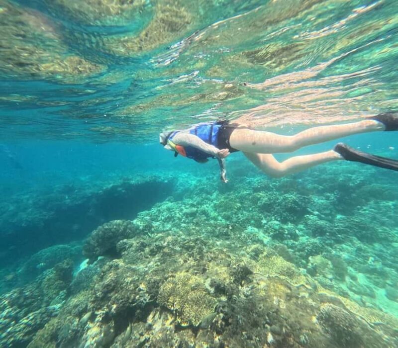 Menjangan Island: Snorkeling Tour with Lunch - Frequently Asked Questions