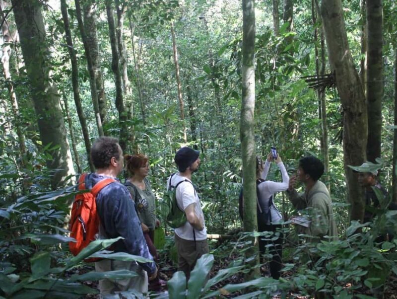 Menjangan Marine Beauty & Rainforest Exploration - Exploring West Bali National Park