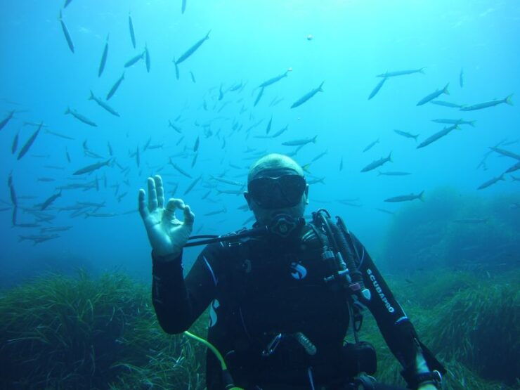 Menorca: Baptism Scuba Diving in Marine Reserve - Activity Highlights