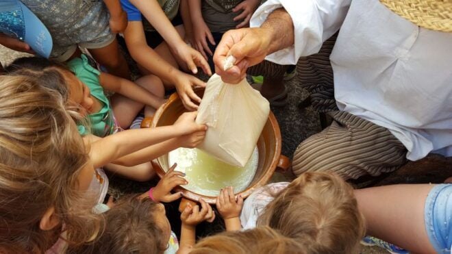 Menorca: Binissuès Museum & Cheese Making Demonstration - Customer Reviews