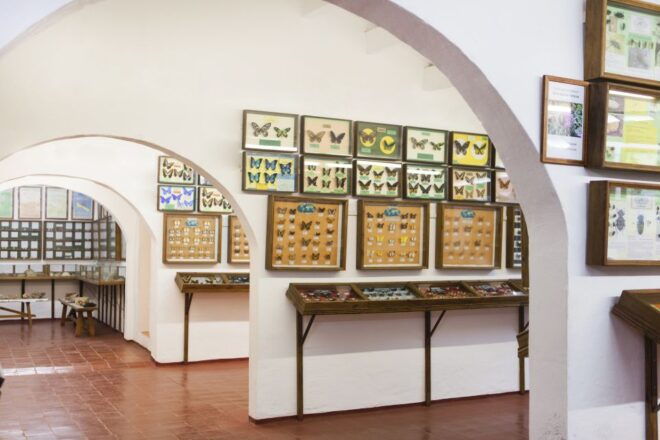 Menorca: Binissues & Natural Sciences Museum Ticket - Experience Description