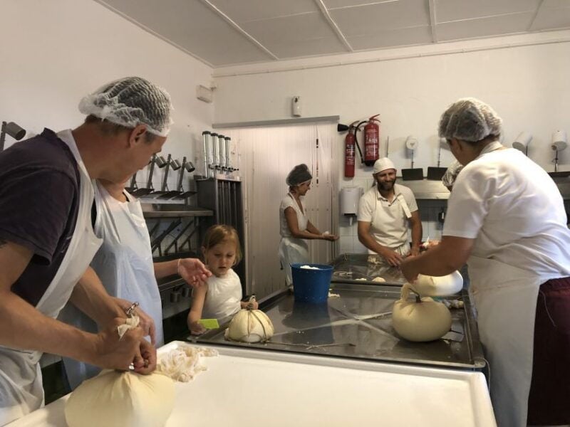 Menorca: Cheesemaking and Farm-Fresh Product Tasting - Good To Know