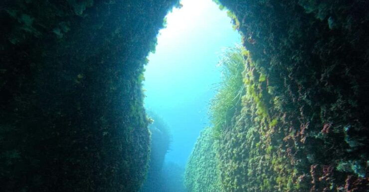 Menorca: Double Dive (IMPORTANT: Certification REQUIRED) - Dive Experience