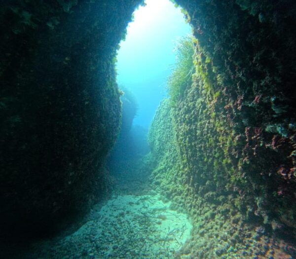 Menorca: Double Dive (IMPORTANT: Certification REQUIRED) - Customer Feedback