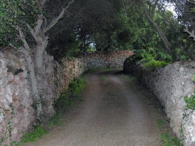 Menorca: E-Bike Tour From Punta Prima to Binibeca - Swim in the Mediterranean