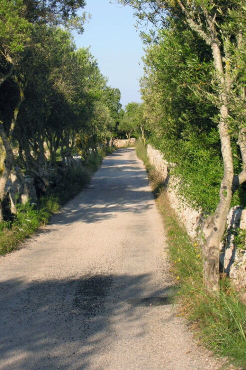 Menorca: E-Bike Tour From Punta Prima to Es Castell - Good To Know