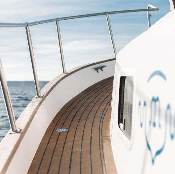 Menorca: Macarella, Turqueta, and Mitjana Cruise With Stops - Logistics and Meeting Point