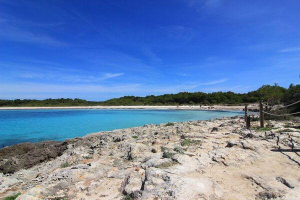 Menorca: Natural Coves and Beaches Boat Trip & Paella Lunch - Additional Information