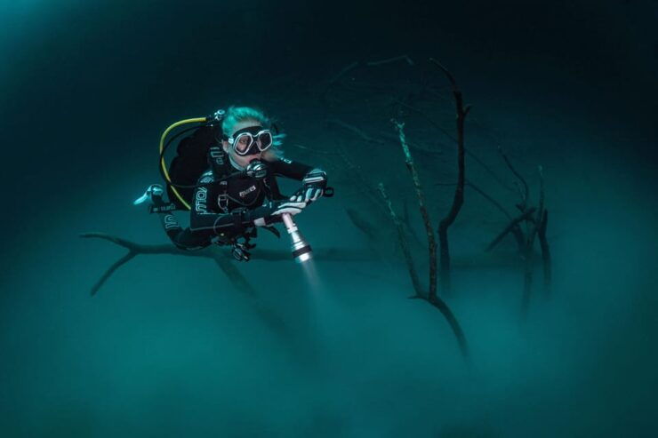 Menorca: Night Dive (Certified Divers) - Diving Experience