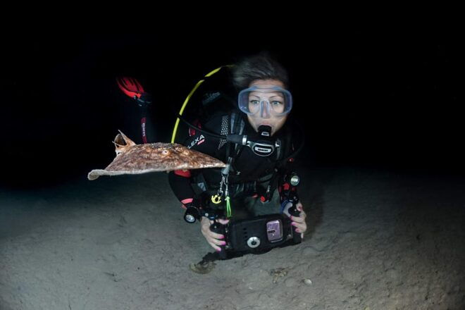 Menorca: Night Dive (Certified Divers) - Inclusions