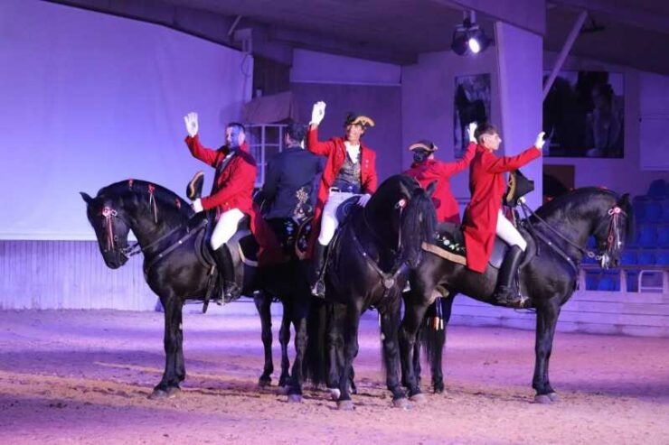 Menorca: San Martorellet Equestrian Show Tickets - Good To Know