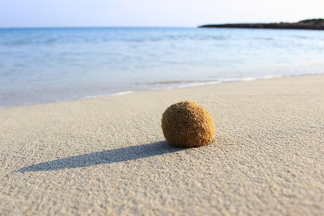 Menorca: South Coast Boat Trip With Lunch - The Sum Up