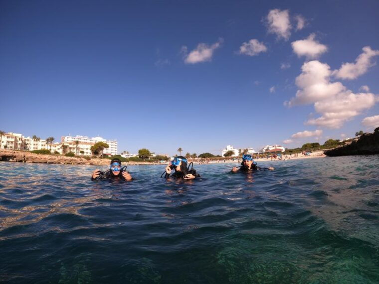 MENORCA: Try Scuba Diving in Calan Bosch -Bluewater MENORCA - Itinerary and Experience