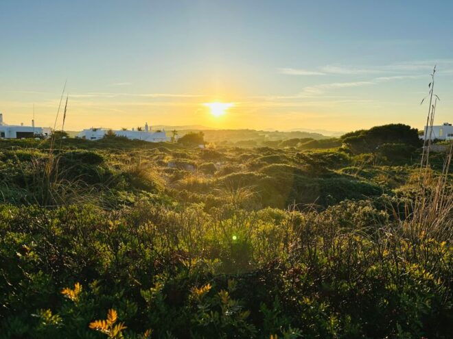Menorca Wakes Up: Breakfast at Sunrise - Relax on Pristine Island Beaches