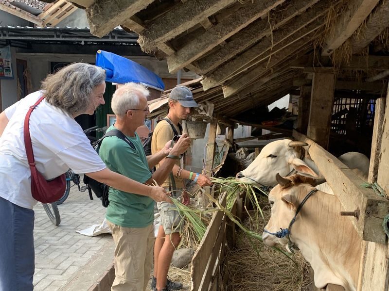 Menoreh Village Cycling in Nanggulan with MOANA Bike Tour - What the price covers, and what it does not