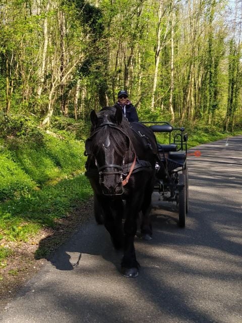 MENTHEVILLE : Horse Cariage Ride in Coutryside - Itinerary Highlights