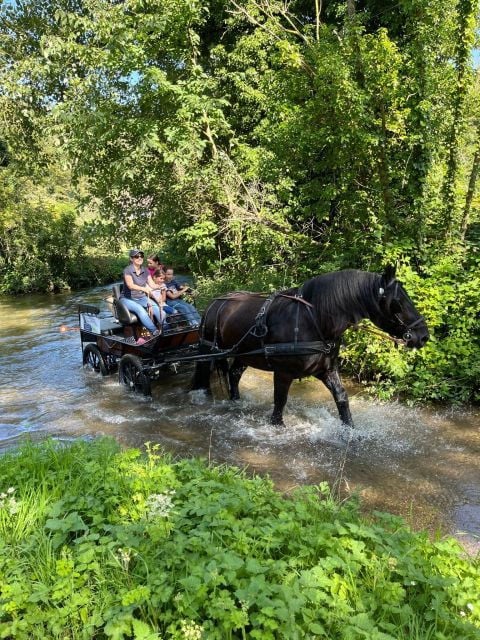 MENTHEVILLE : Horse Cariage Ride in Coutryside - Inclusions and Exclusions