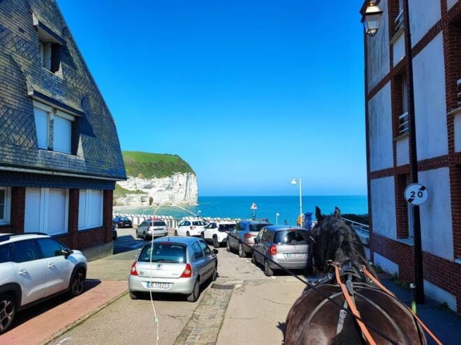 MENTHEVILLE : Horse Cariage Ride in Coutryside - Important Details