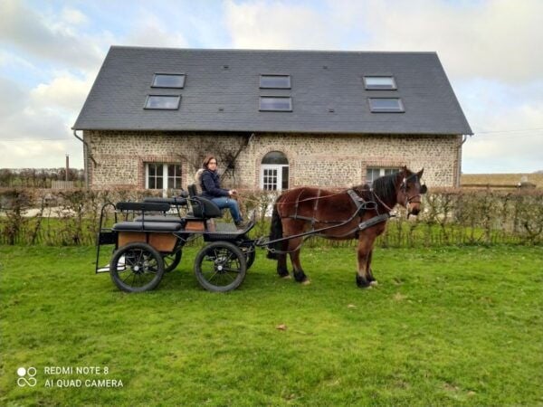 MENTHEVILLE : Horse Cariage Ride in Coutryside - Frequently Asked Questions