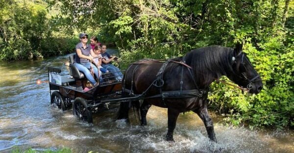 MENTHEVILLE : Horse Cariage Ride in Coutryside - The Sum Up