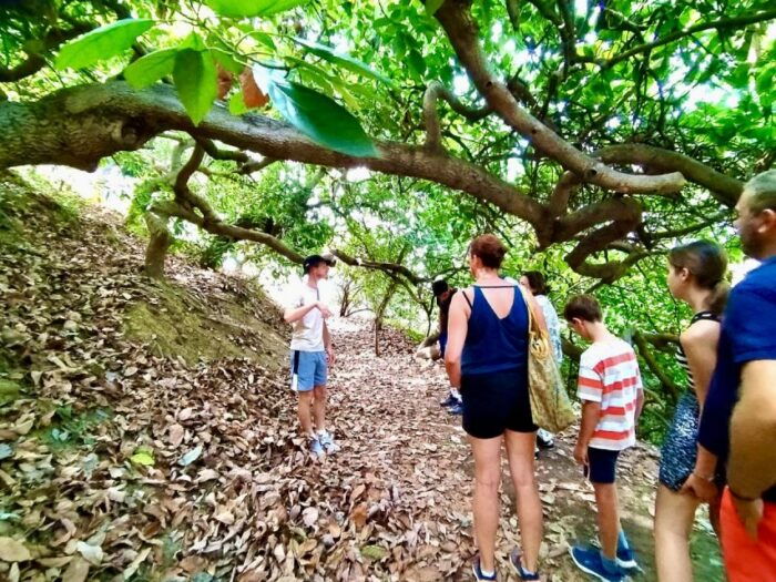 Menton: Citrus Farm, Old-Town & Botanic Full Day Tour - Activities and Optional Extras