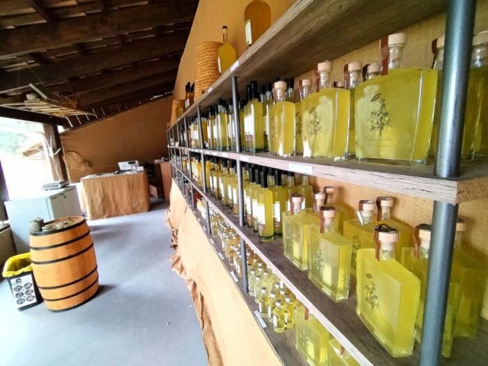 Menton: Citrus Farm, Old-Town & Botanic Full Day Tour - Recommendations for Participants