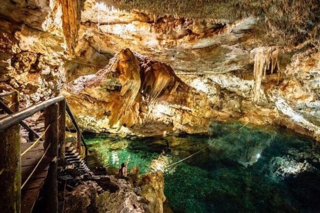Merida: 4 Cenotes Adventure and Mexican Meal Included - Transportation and Inclusions