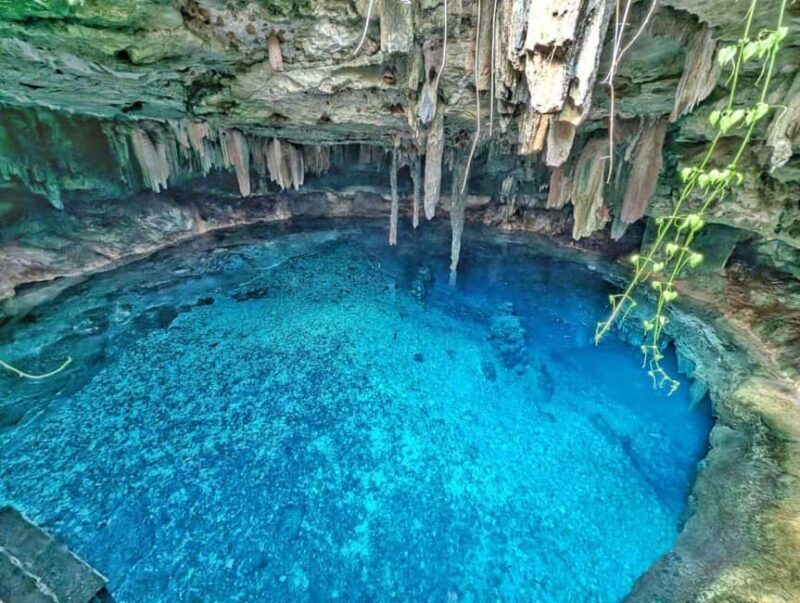 Mérida: 4 Majestic Cenotes Tour with Typical Lunch - What the Tour Includes and What to Budget For