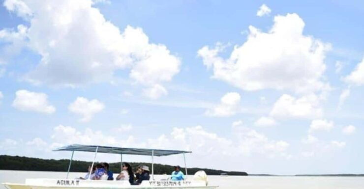 Mérida: a Day in Celestún - Good To Know