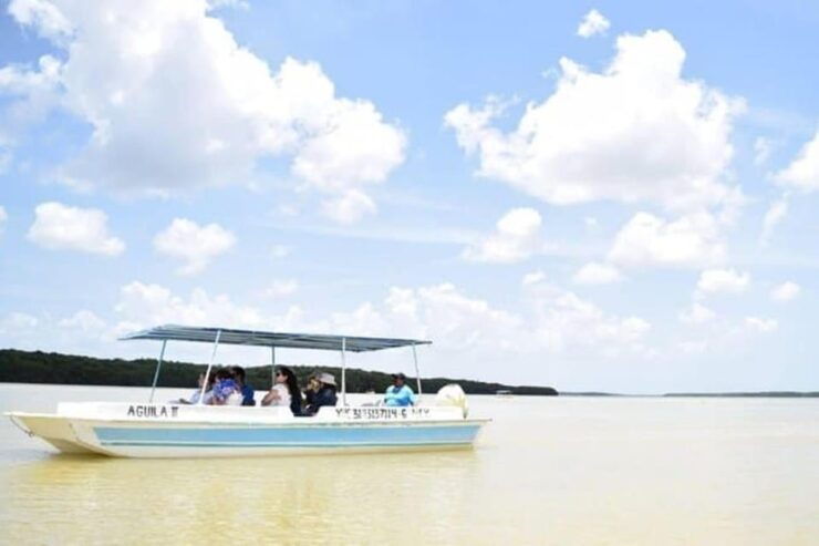 Mérida: a Day in Celestún - Experience Highlights